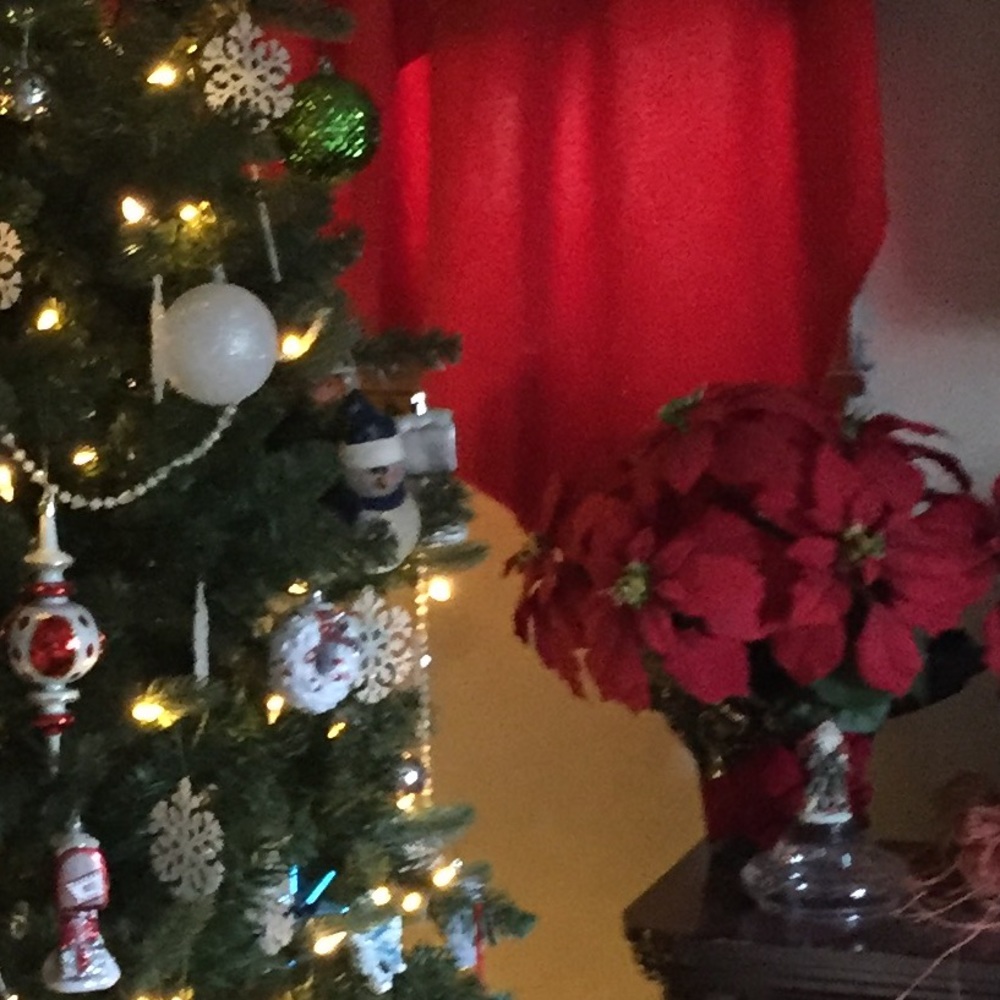 Meet your Posher, Wendy